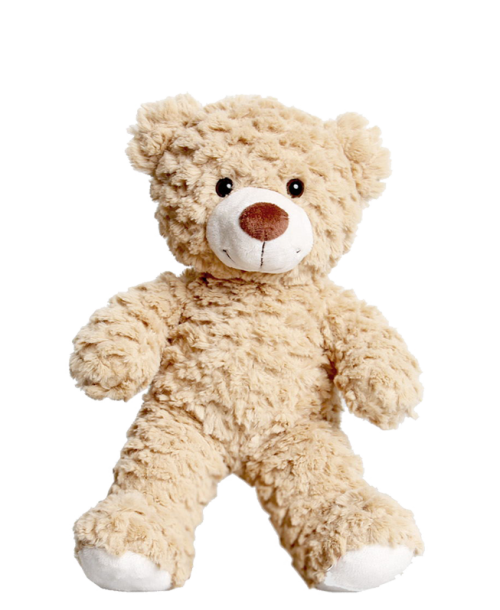 image Ours en peluche ted