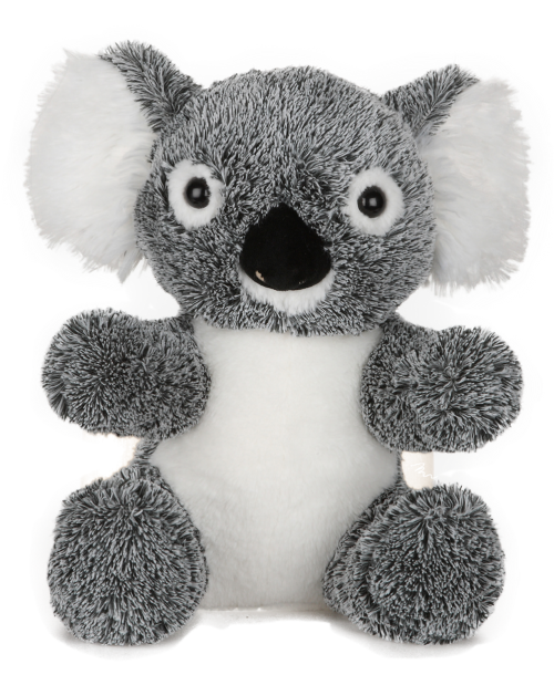 Image de kola le koala