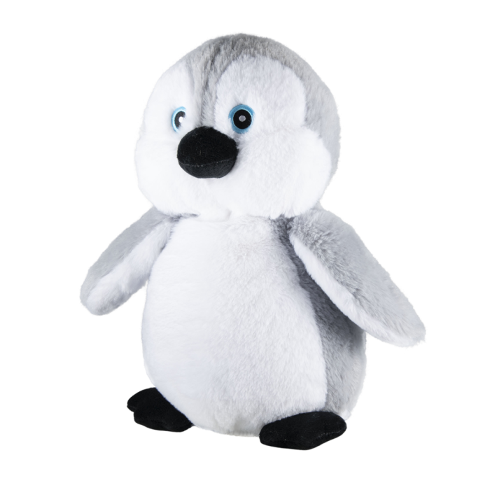 Image de Alaska le pingouin