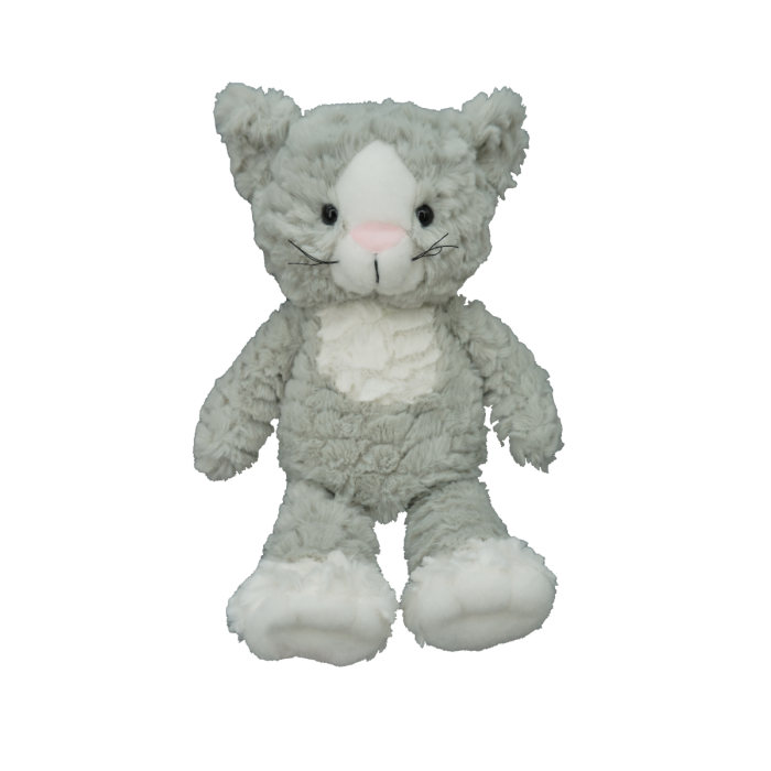 Image de Kitty le chat gris